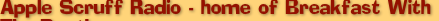 shapeimage_7_link_8